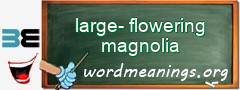 WordMeaning blackboard for large-flowering magnolia